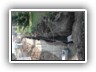 DSCN0344