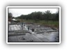 DSCN0368