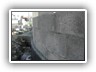 DSCN0381